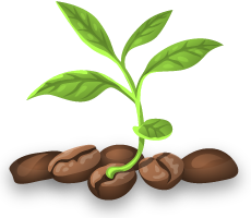 Sprouting seed